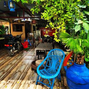 Dream Vision Guest House في ديو: كرسي ازرق وطاولة ونبات