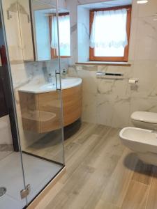 a bathroom with a shower and a sink and a toilet at Appartamento Col di Lana Dolomites in Livinallongo del Col di Lana