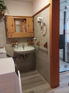 ein Bad mit einem Waschbecken und einer Dusche in der Unterkunft Appartamento Col di Lana Dolomites in Livinallongo del Col di Lana