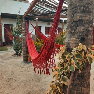 eine rote Hängematte, die von einem Baum hängt in der Unterkunft De Ventto Em Popa - São Miguel do Gostoso RN in São Miguel do Gostoso