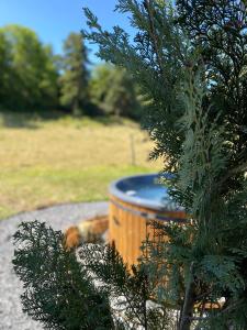 Vonkajšia záhrada v ubytovaní Cottage 2 à 4 personnes ,au cœur des volcans