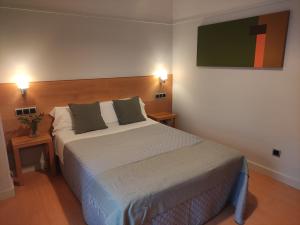 a bedroom with a large bed with two pillows at Hostal Mayor 71 in El Burgo de Osma