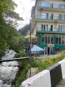 Příroda nedaleko hotelu