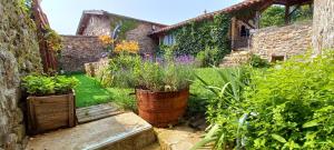 ein Garten mit einer Bank und einigen Pflanzen in der Unterkunft Les Gîtes du Couvent in Nozières