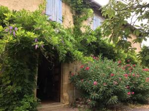 einen Eingang zu einem Haus mit Blumen und Pflanzen in der Unterkunft Ferme typique de Gascogne 