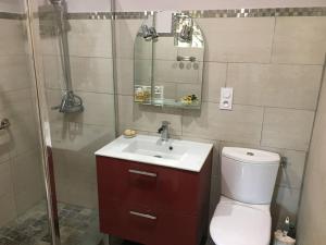 a bathroom with a toilet and a sink and a shower at Ferme typique de Gascogne in Lourties-Monbrun