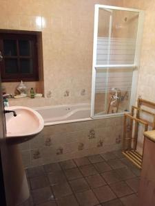 ein Bad mit einer Badewanne, einem Waschbecken und einer Dusche in der Unterkunft Ferme typique de Gascogne 