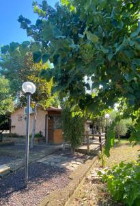un arbre devant une maison lumineuse dans l'établissement Country house in Maremma Villa Mafalda, à SantʼAntonio