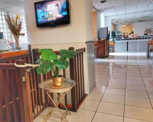 a potted plant sitting on a table in a lobby at Hôtel Le Milan in Lourdes