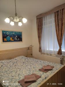 een slaapkamer met een bed en een raam bij Holiday Relax1 in Jagodina