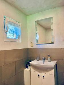ein Bad mit einem Waschbecken und einem Spiegel in der Unterkunft Domek Nida in Polańczyk
