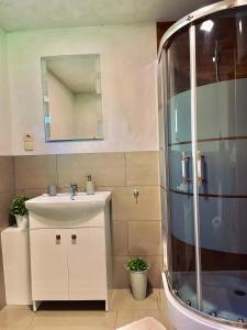 ein Bad mit einem Waschbecken und einer Dusche in der Unterkunft Domek Nida in Polańczyk