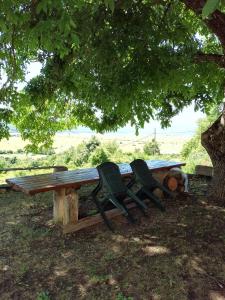 a picnic table and two chairs under a tree at Barun apartman in Lusnić
