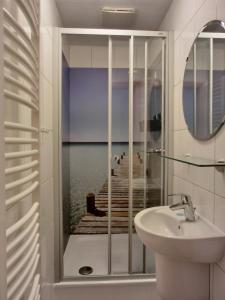 a bathroom with a shower with a sink and a mirror at Ferienwohnung NH12 in Hirschburg