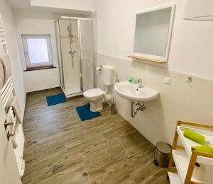 a bathroom with a toilet and a sink and a shower at Ferien-Wohnung für 1-4 Pers in Seenähe in Timelkam