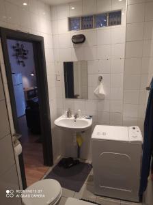 a bathroom with a sink and a toilet at Appartement Magnifique dans un beau cadre in Brussels