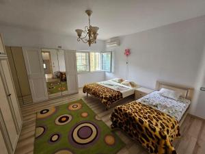a room with two beds and a room with two rugs at Golem Beach Villa in Golem