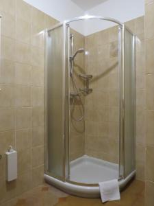 a shower with a glass door in a bathroom at Giglio Della Montagna in Livigno