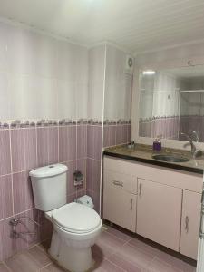 een badkamer met een toilet, een wastafel en een spiegel bij ÖZTUR OTEL YUMURTALIK in Yumurtalık
