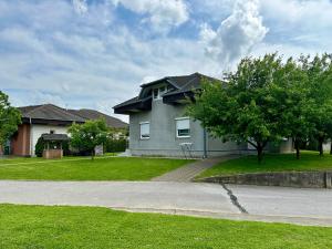 a gray house with a tree in a yard at Fun house in Zebanec-Selo