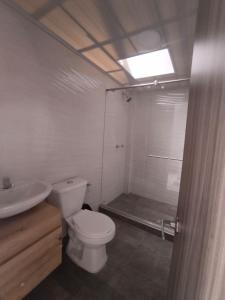 a bathroom with a toilet and a sink and a shower at Hotel viajeros in El Mesón