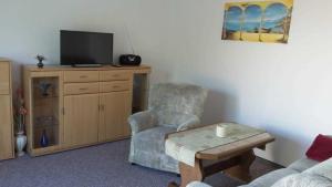 a living room with a chair and a tv at Ruegen_Fewo 24 in Thesenvitz