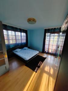 sypialnia z łóżkiem w pokoju z 2 oknami w obiekcie LaSovataa w mieście Sovata