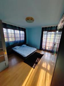 a bedroom with a bed in a room with two windows at LaSovataa in Sovata