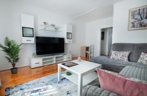 Apartman Plitvice Happy Home في بليتفيتْشكا ييزيرا: غرفة معيشة مع أريكة وتلفزيون