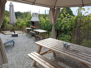 a picnic table with a grill and a stove at Casa campo con piscina La Arboleda in Amoeiro