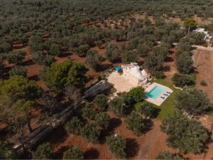 Πισίνα στο ή κοντά στο Trullo Tarantini con piscina privata