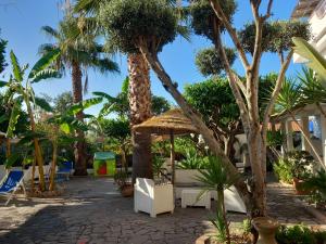 ośrodek z palmami i patio w obiekcie Appartamenti Tropea Gargano w mieście Parghelia