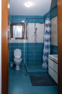 モイエチウ・デ・ススにあるCasa Edenの青いタイル張りのバスルーム(トイレ、シャワー付)