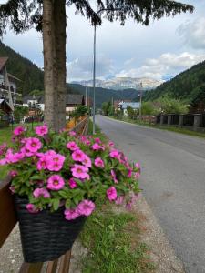 モイエチウ・デ・ススにあるCasa Edenの道路脇のピンクの花かご