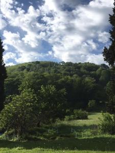 the country house周边自然景观