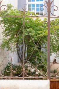 a tree in a garden in front of a building at Maison Salix in Vallabrègues