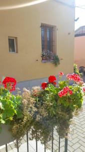 a bunch of red flowers in a window at Appartamenti Borghetto San Donato 105 in Bologna