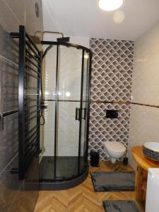 y baño con ducha y puerta de cristal. en Pokoje Gościnne Monika III en Zakopane