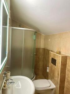 a bathroom with a shower and a toilet and a sink at Apartment R in Risan