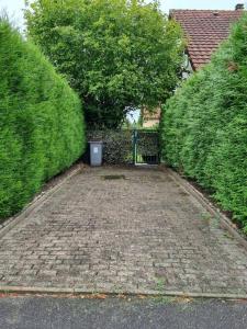 a brick driveway with a trash can in between two hedges at Gemütliche Oase - Geräumige Unterkunft in Sarreguemines