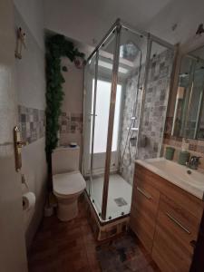 a bathroom with a shower and a toilet and a sink at La casa de Emma in Piles