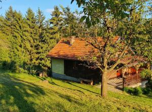 una casa con techo rojo en un campo verde en Hiška ob gozdu, en Polzela