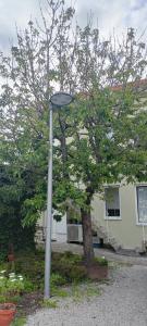 ein Straßenlicht neben einem Baum vor einem Haus in der Unterkunft Green House / Casa Verde in Porto
