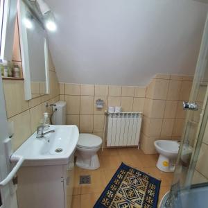 a bathroom with a sink and a toilet at Apartament 3 camere strada Bailor Baltatesti in Bălţăteşti
