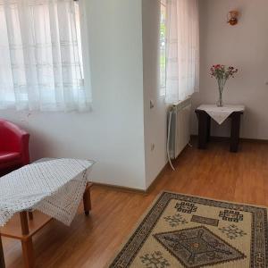 a living room with a red chair and a rug at Apartament 3 camere strada Bailor Baltatesti in Bălţăteşti
