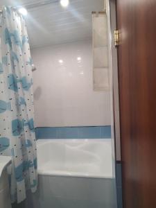 ein Bad mit einer Badewanne und einem Duschvorhang in der Unterkunft Best Apartment In The City Center in Yerevan