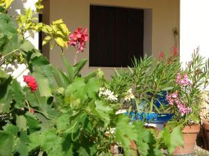 Fotografie z fotogalerie ubytování Le Gîte Radica v destinaci Eccica-Suarella