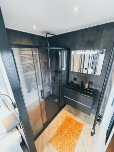 a bathroom with a shower and a sink at MarinaPark Residentie Nieuw Loosdrecht in Loosdrecht