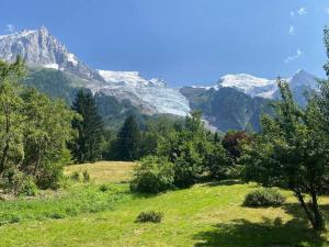 a field with trees and mountains in the background at Chalet Manala in Chamonix-Mont-Blanc