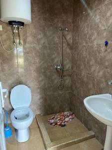 a bathroom with a shower and a toilet and a sink at Guest House Tirebi in Nak'alak'evi